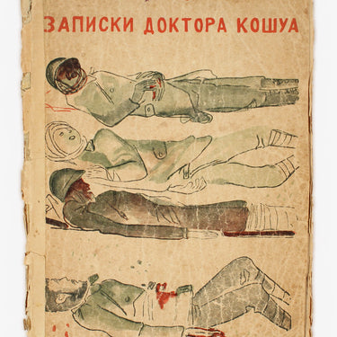 Doctor Korshua's Notes