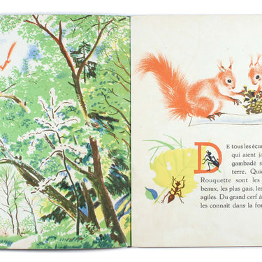 Panache l'Ecureuil - Panache the Squirrel