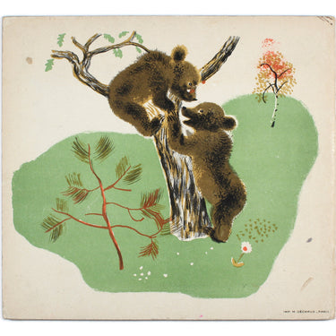 Bourru l'Ours Brun - Bourru the Brown Bear