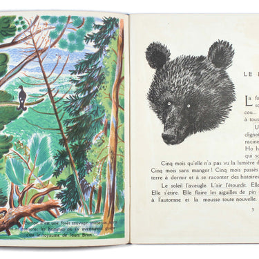 Bourru l'Ours Brun - Bourru the Brown Bear