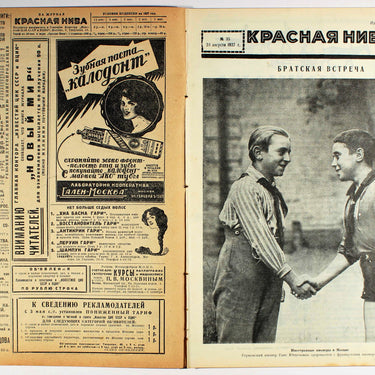Red Field Krasnaya Niva #35 1927