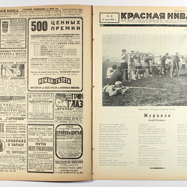 Red Field Krasnaya Niva #29 1928