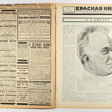 Red Field Krasnaya Niva #21 1928