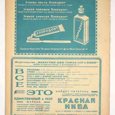 Red Field Krasnaya Niva #33 1928