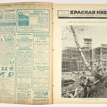 Red Field Krasnaya Niva #33 1928