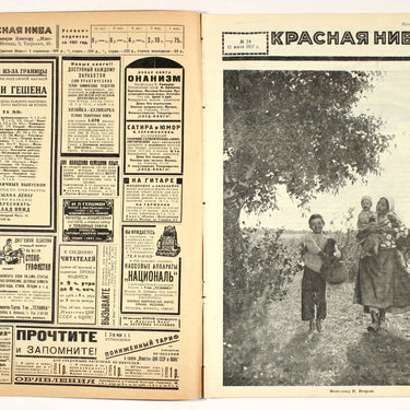 Red Field Krasnaya Niva #24 1927