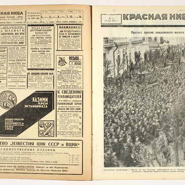Red Field Krasnaya Niva #22 1927