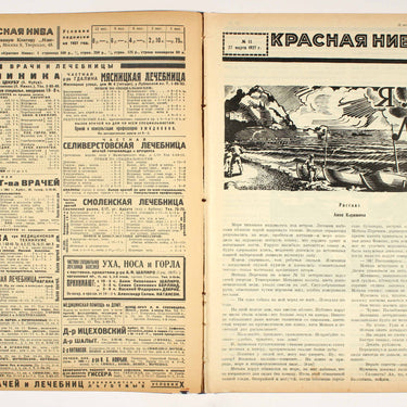 Red Field Krasnaya Niva #13 1927