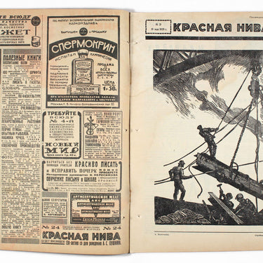 Red Field Krasnaya Niva #21 1929