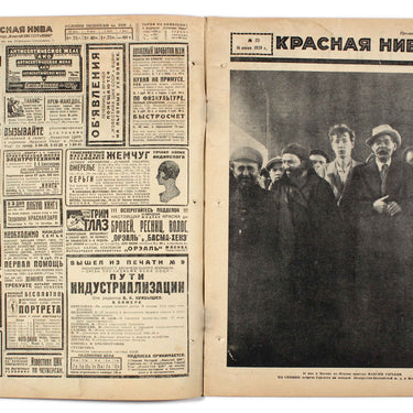 Red Field Krasnaya Niva #25 1929