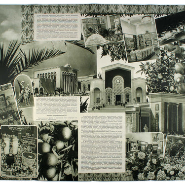 The All-Union Agricultural Exposition
