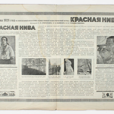 Advertising Brochure  For Newspaper's Subscriptions