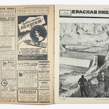Red Field Krasnaya Niva #42 1927