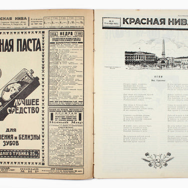 Red Field Krasnaya Niva #43 1927