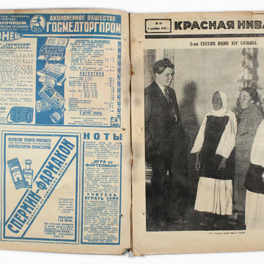 Red Field Krasnaya Niva #50 1929