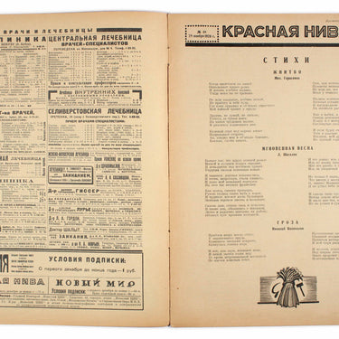 Red Field Krasnaya Niva #48 1926
