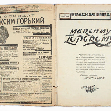 Red Field Krasnaya Niva #13 1928