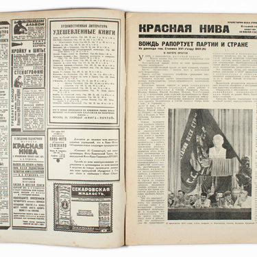 Red Field Krasnaya Niva #20 1930