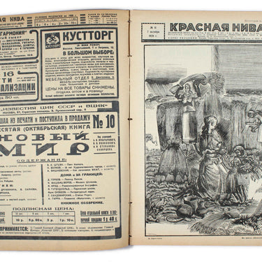 Red Field Krasnaya Niva #41 1928