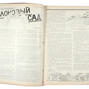 Red Field Krasnaya Niva #38 1928