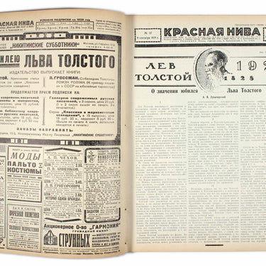 Red Field Krasnaya Niva #37 1928