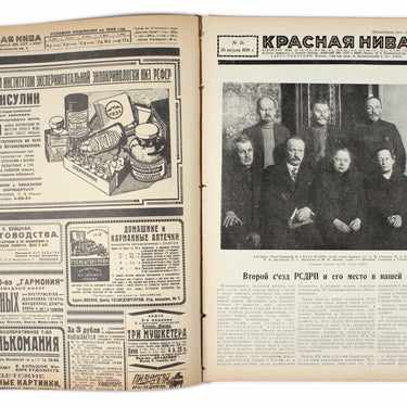 Red Field Krasnaya Niva #35 1928