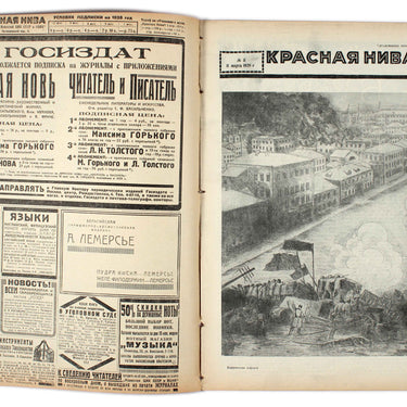 Red Field Krasnaya Niva #11 1928