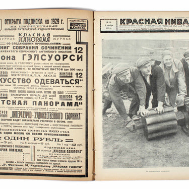 Red Field Krasnaya Niva #46 1928