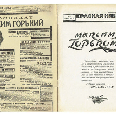 Red Field Krasnaya Niva #13 1928