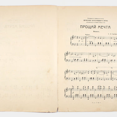 Proshai Mechta Goodbye Dream Waltz