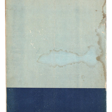 Airplane Samolet #2 1939