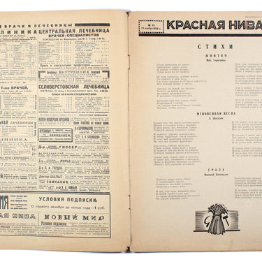 Red Field Krasnaya Niva #48 1926