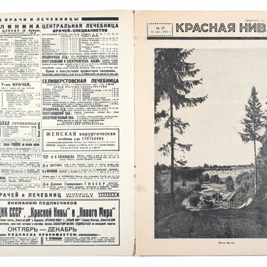 Red Field Krasnaya Niva #37 1926