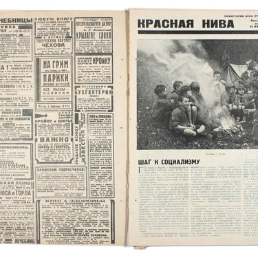 Red Field Krasnaya Niva #15 1930