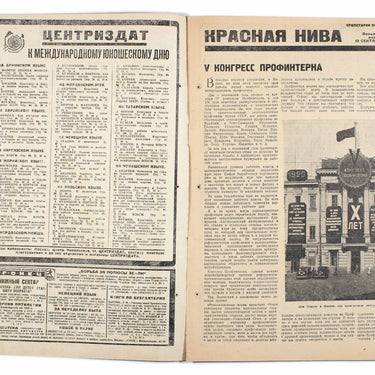 Red Field Krasnaya Niva #25 1930