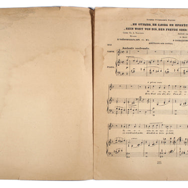 Romances and plays by Tchaikovsky