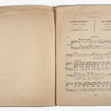 Romances by Tchaikovsky for bass and baritone